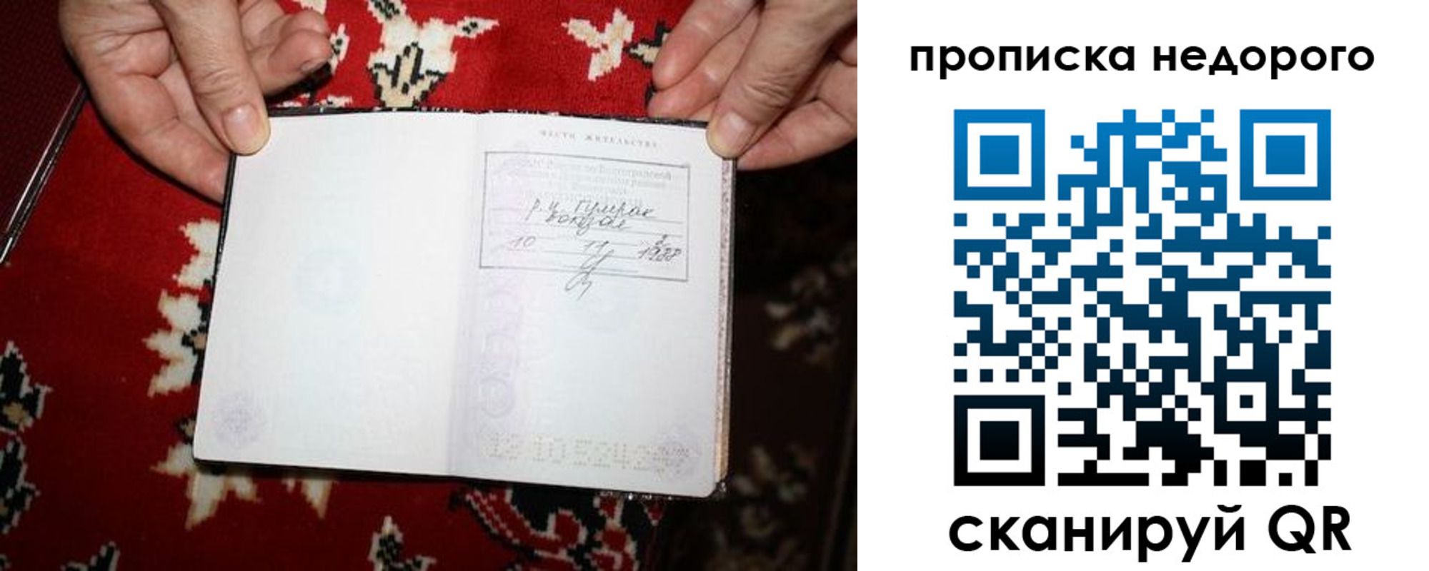 прописка гарантия в Московской области
